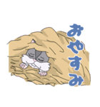 はむすたすたすたんぷ（個別スタンプ：3）