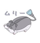 はむすたすたすたんぷ（個別スタンプ：18）