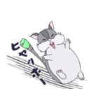 はむすたすたすたんぷ（個別スタンプ：19）