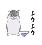 はむすたすたすたんぷ（個別スタンプ：24）