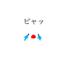 文鳥ちあん（個別スタンプ：6）