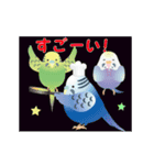 動く！インコトリ尾 フード編（個別スタンプ：18）