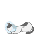 表情豊かな灰色猫と茶色うさぎ（個別スタンプ：19）