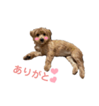 ウェスプーの花（個別スタンプ：3）