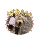 ウェスプーの花（個別スタンプ：4）