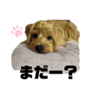 ウェスプーの花（個別スタンプ：10）