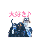 フクザクツグとトーラスポンゴンandリナ（個別スタンプ：16）