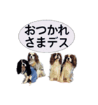 フクザクツグとトーラスポンゴンandリナ（個別スタンプ：24）