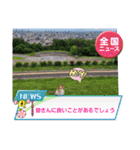 ぱぴぱぴパピヨン92（個別スタンプ：1）