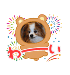 ぱぴぱぴパピヨン92（個別スタンプ：7）