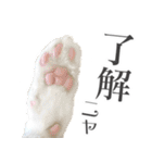 三毛猫 の なのはな（個別スタンプ：2）