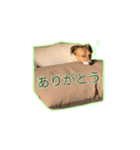 わがやのゆきちスタンプ（個別スタンプ：8）