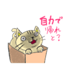 猫のにゃあじろう12（個別スタンプ：7）