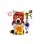 ボーダーコリー『セナルナ』（個別スタンプ：9）