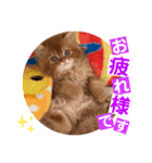 ねこまーち エメラルドクイーン（個別スタンプ：2）