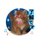 ねこまーち エメラルドクイーン（個別スタンプ：4）