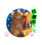 ねこまーち エメラルドクイーン（個別スタンプ：6）