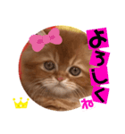 ねこまーち エメラルドクイーン（個別スタンプ：7）