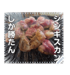 【肉】ジンギスカン☆炭火焼肉（個別スタンプ：1）