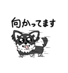 Marororo stamp（個別スタンプ：8）