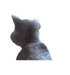 毛玉たまに吐きます4（個別スタンプ：1）
