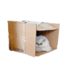 毛玉たまに吐きます4（個別スタンプ：3）