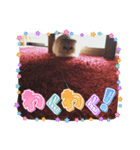 毛玉たまに吐きます4（個別スタンプ：7）