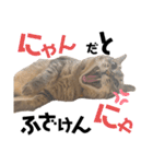 ぶーこ様の日常（個別スタンプ：7）