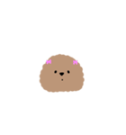 トイプーちあん（個別スタンプ：2）