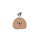 トイプーちあん（個別スタンプ：5）