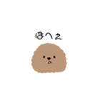 トイプーちあん（個別スタンプ：10）