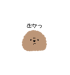 トイプーちあん（個別スタンプ：12）