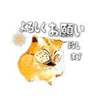 キモ可愛い猫（個別スタンプ：7）