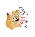 キモ可愛い猫（個別スタンプ：8）