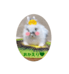 Minchopila 2（個別スタンプ：21）