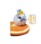 Minchopila 2（個別スタンプ：23）