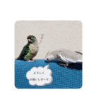 Minchopila 2（個別スタンプ：31）