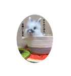 Minchopila 2（個別スタンプ：32）