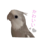 Minchopila 2（個別スタンプ：38）