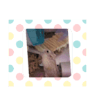 プクプク3（個別スタンプ：5）