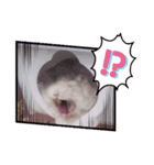 プクプク3（個別スタンプ：6）