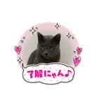 RIRI＆RON④（個別スタンプ：4）