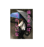 ふくっしーの愛らしいスタンプ（個別スタンプ：15）