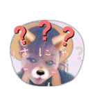 ほぷてんだぜ（個別スタンプ：7）