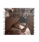 ほぷてんだぜ（個別スタンプ：20）