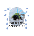 ほぷてんだぜ（個別スタンプ：22）