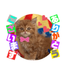 ねこまーち サファイアエンジェル（個別スタンプ：2）