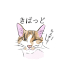 薩摩にゃん（個別スタンプ：6）