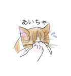 薩摩にゃん（個別スタンプ：10）