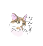 薩摩にゃん（個別スタンプ：26）